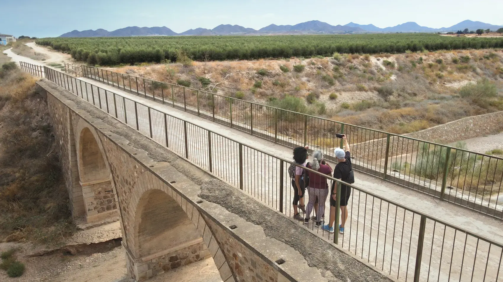 Puente de fábrica sobre el cauce del río Guadalentín, principal obra del antiguo trazado ferroviario Totana-Cartagena, visto entre los frutales del Campo de Cartagena bajo cielo despejado