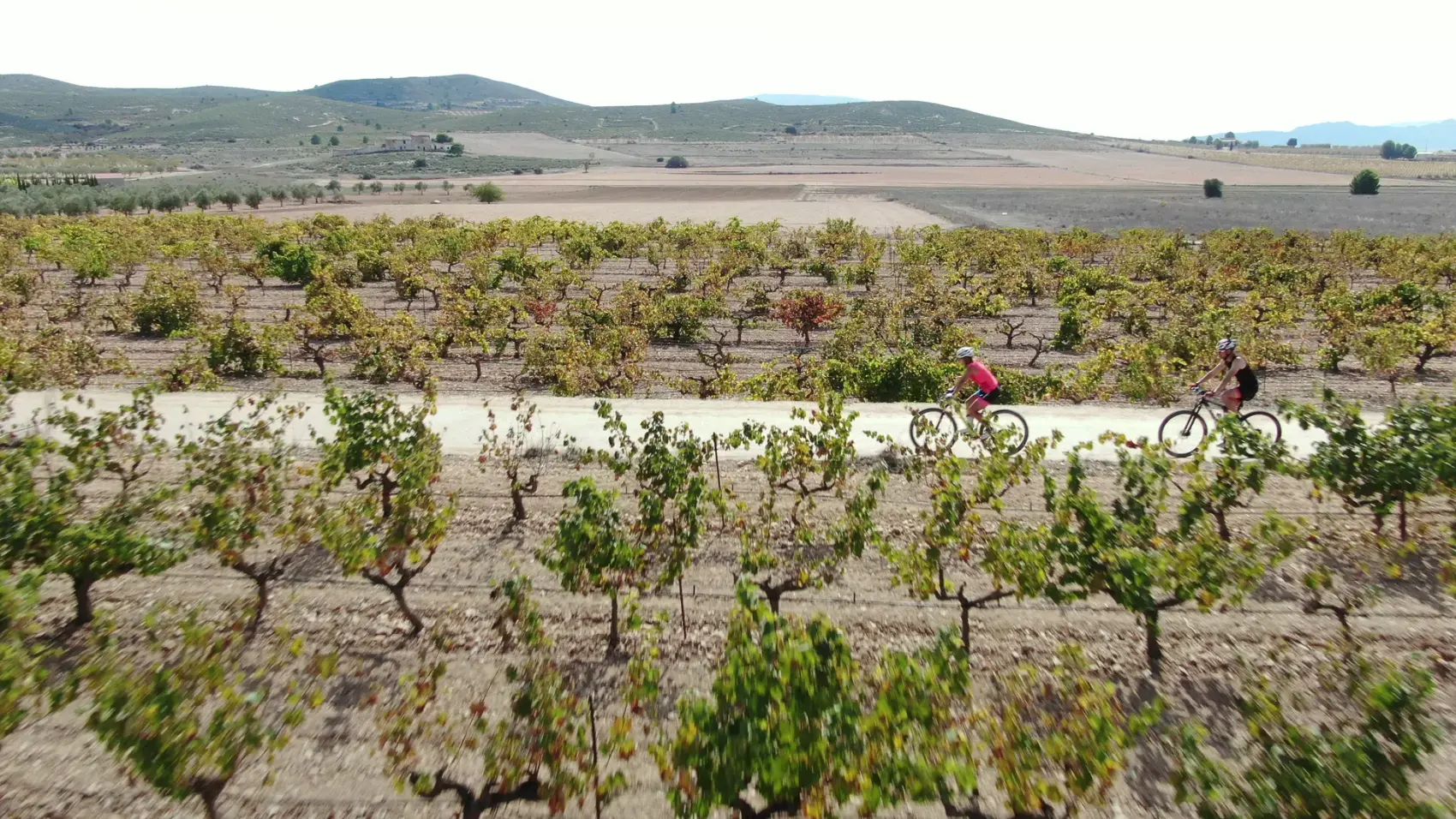 Sendero de la Vía Verde del Chicharra a su paso por Yecla, entre viñedos de la D.O. y paisajes esteparios del Altiplano murciano, con la Sierra del Buey al fondo.