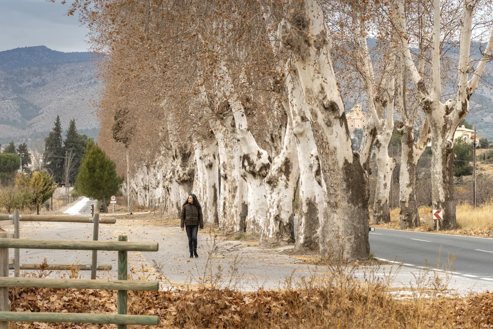 Viaducto de piedra de la Vía Verde del Noroeste salvando con sus arcadas los badlands del río Mula, en el trazado del antiguo ferrocarril Murcia-Caravaca